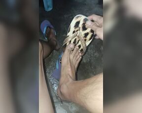 Cum In New Havaianas Animal Print 2023