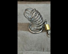 Penis cage for slave from mistress